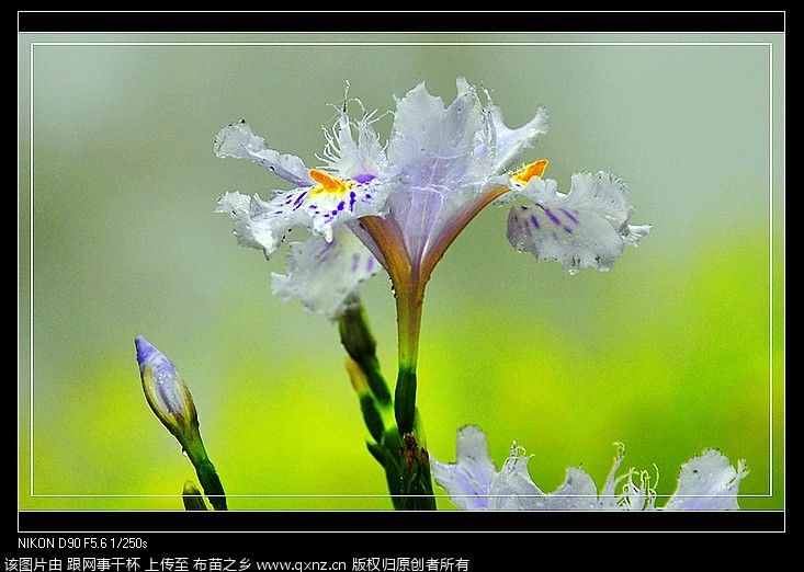nEO_IMG__DSC0280.jpg