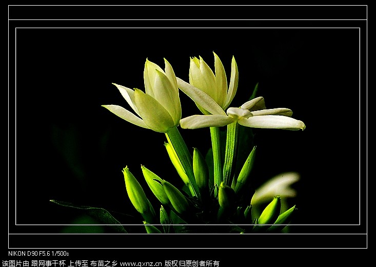 nEO_IMG__DSC1510.jpg