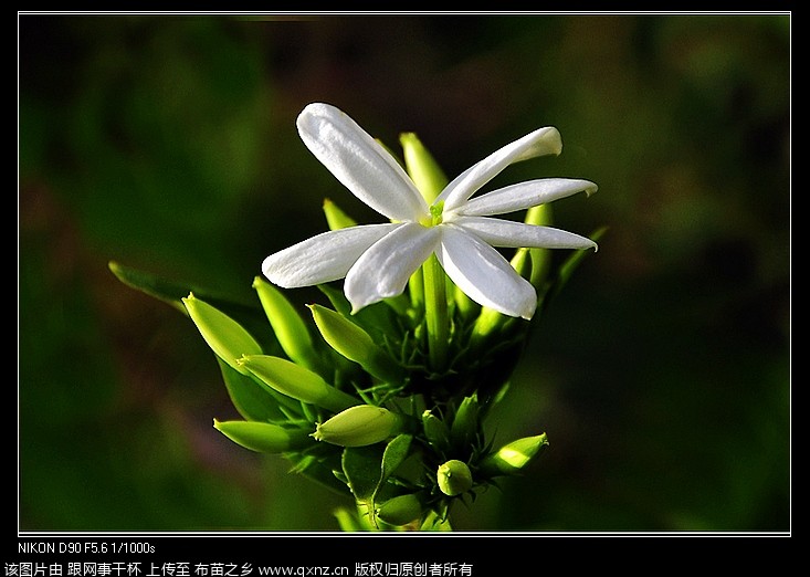 nEO_IMG__DSC1517.jpg