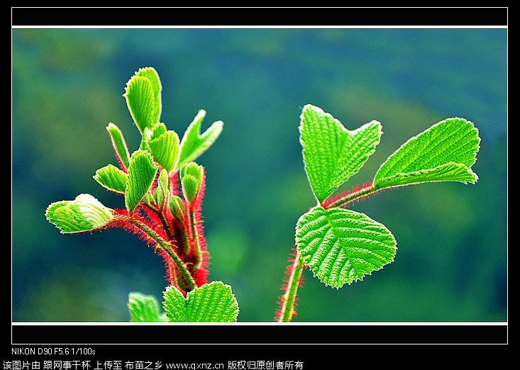nEO_IMG__DSC1529.jpg