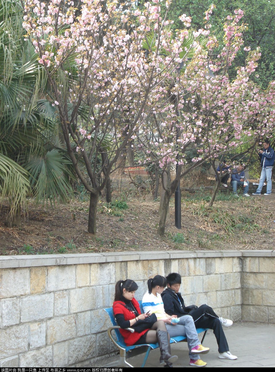 aa226fcaae363b6db400c863.jpg