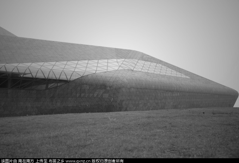 DSC_0384 _.jpg