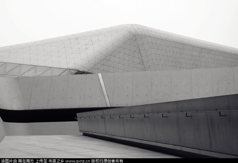 DSC_0513 _.jpg