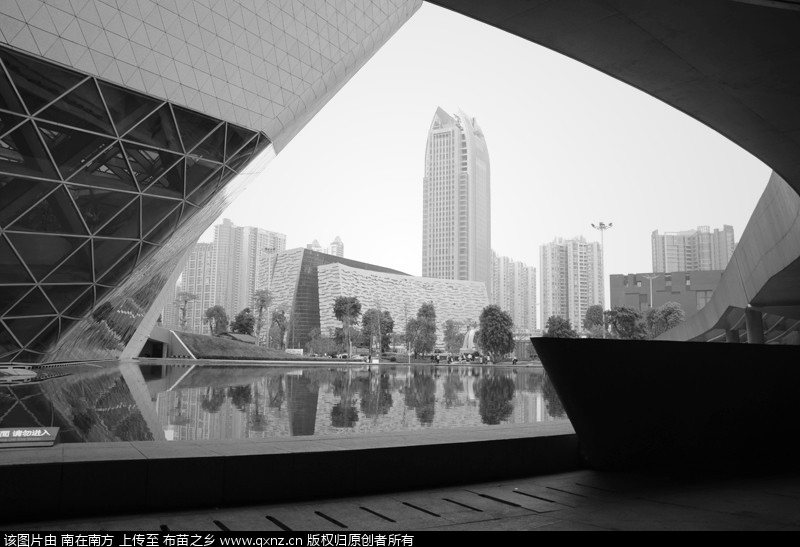 DSC_0456 _.jpg