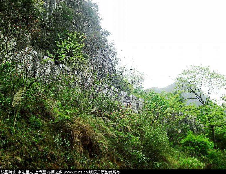 CIMG4719_conew1.jpg