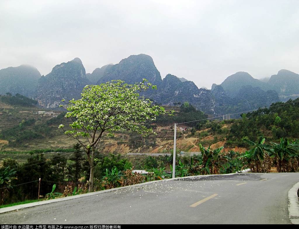 CIMG4723_conew1.jpg