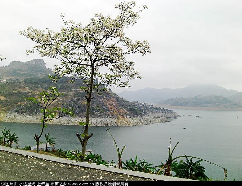 CIMG4728_conew1.jpg