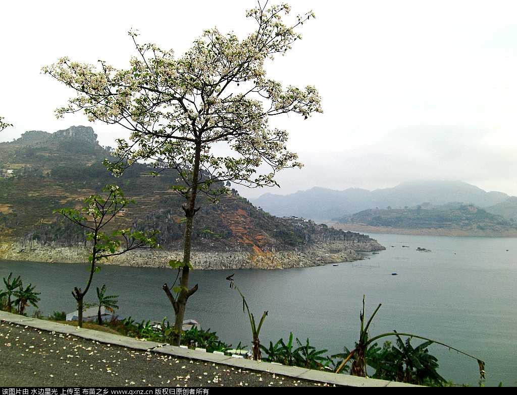 CIMG4728_conew1.jpg