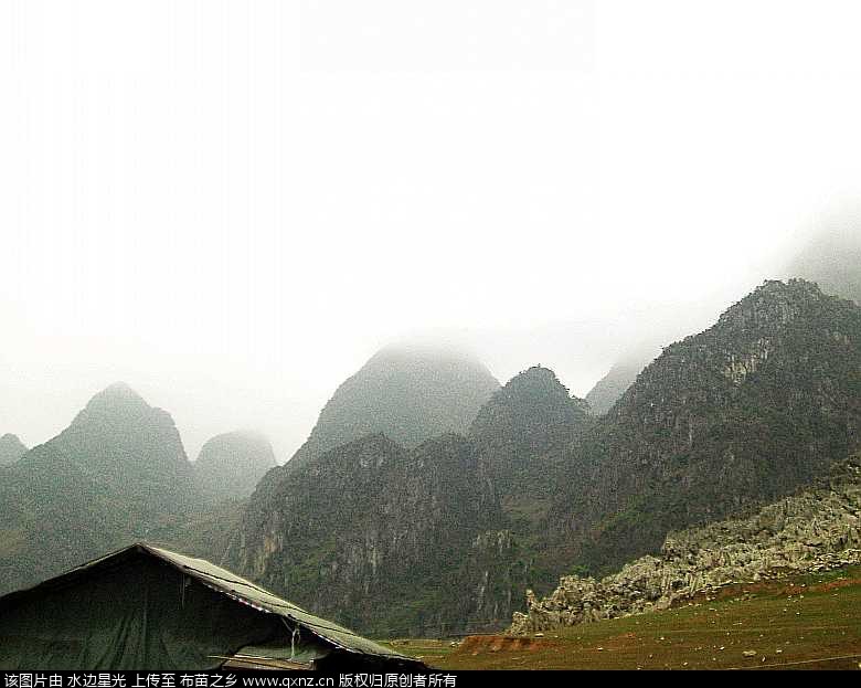 CIMG4742_conew1.jpg