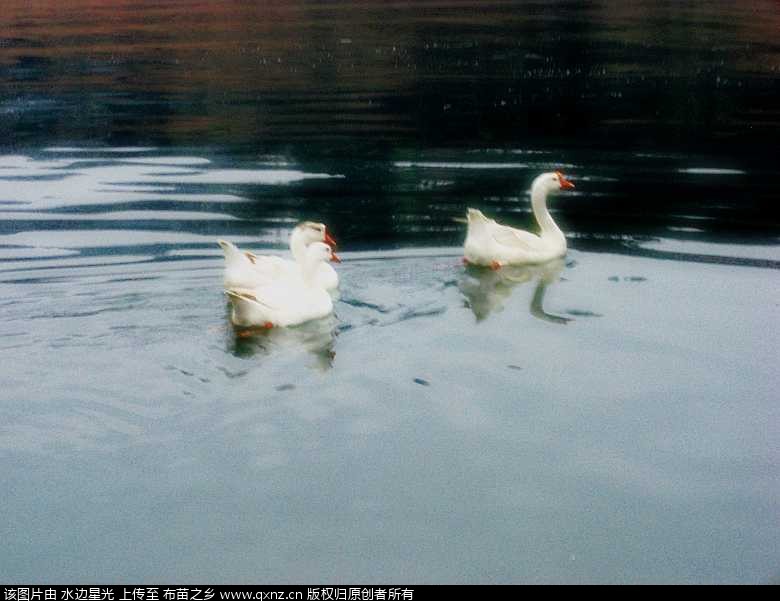 CIMG4776_conew1.jpg