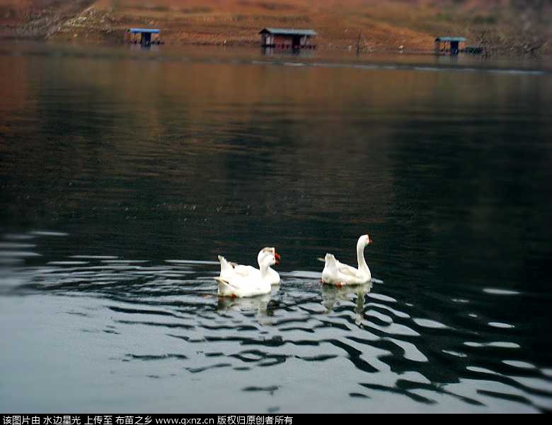 CIMG4777_conew1.jpg