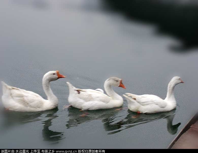 CIMG4782_conew2.jpg
