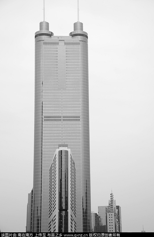 DSC_1003 _.jpg