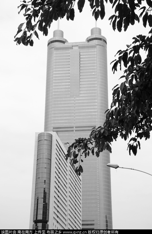 DSC_0023 _.jpg