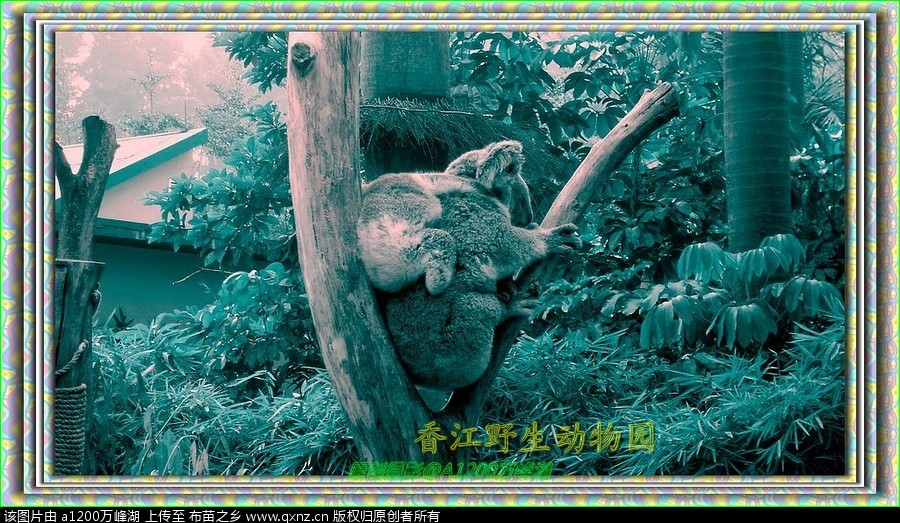 㽭Ұ԰02.jpg