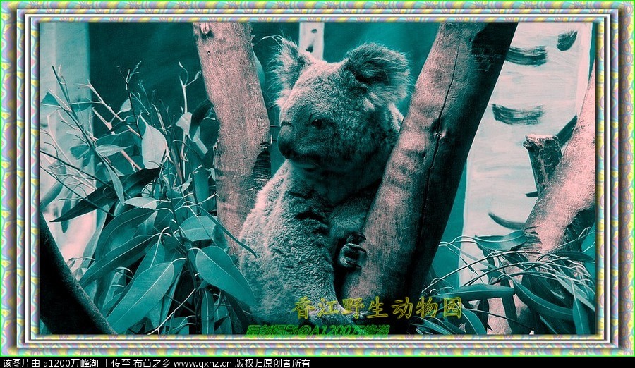 㽭Ұ԰03.jpg