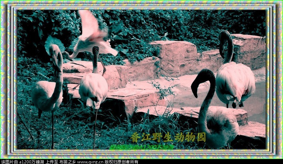 㽭Ұ԰04.jpg