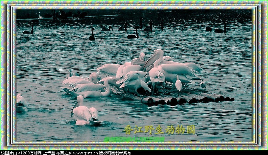 㽭Ұ԰05.jpg
