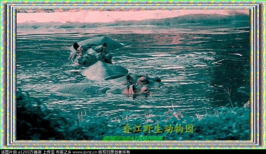 㽭Ұ԰12.jpg