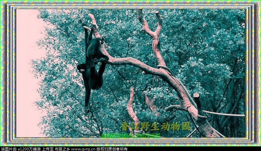 㽭Ұ԰19.jpg