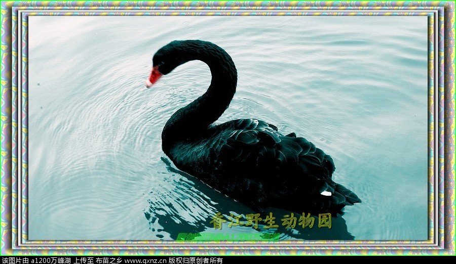 㽭Ұ԰23.jpg