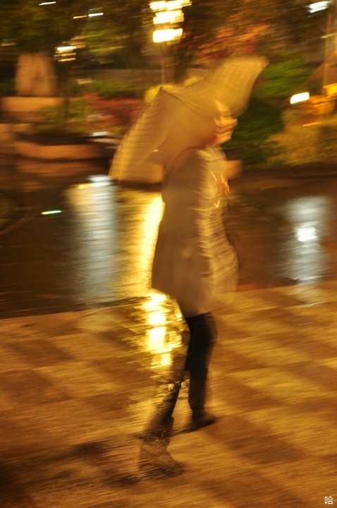 d90 ۽48 Ȧ4.8 عʱ1/3 ISO640