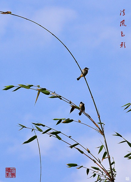 201001291943053156.jpg