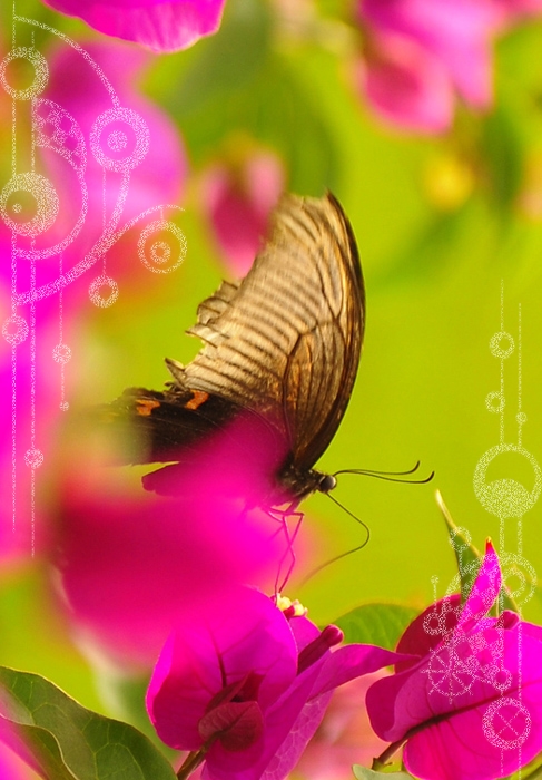 _CSC5609.jpg