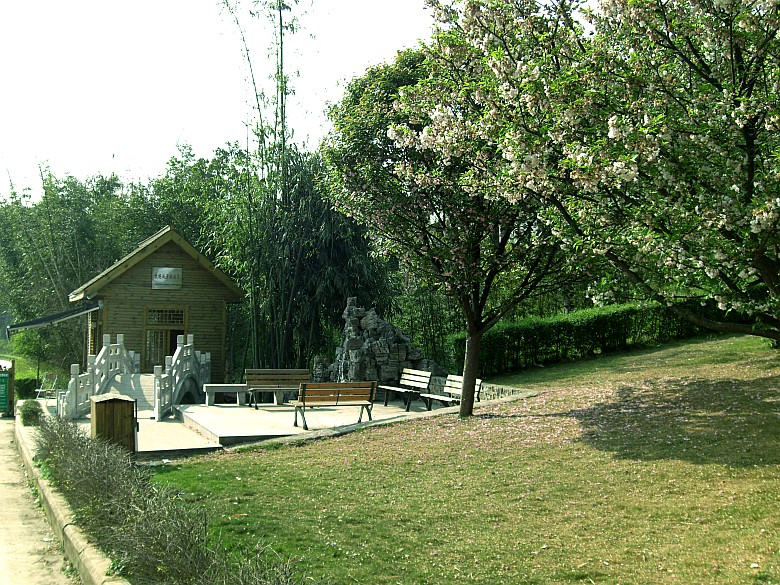 CIMG5040_conew2.jpg
