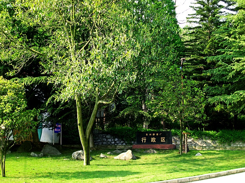 CIMG5047_conew1.jpg