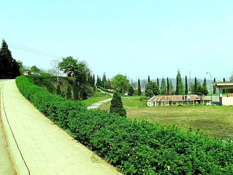 CIMG5050_conew1.jpg