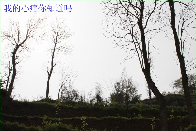ҵʹ֪00.jpg