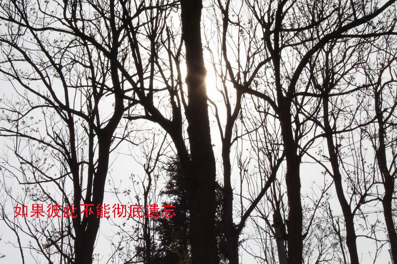 ҵʹ֪02.jpg