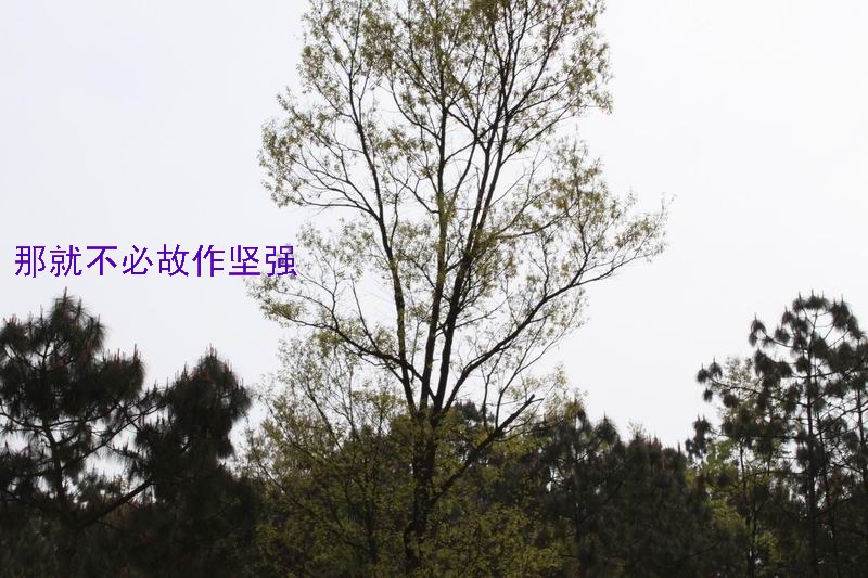 ҵʹ֪03.jpg