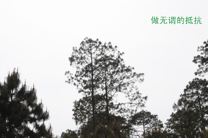 ҵʹ֪04.jpg