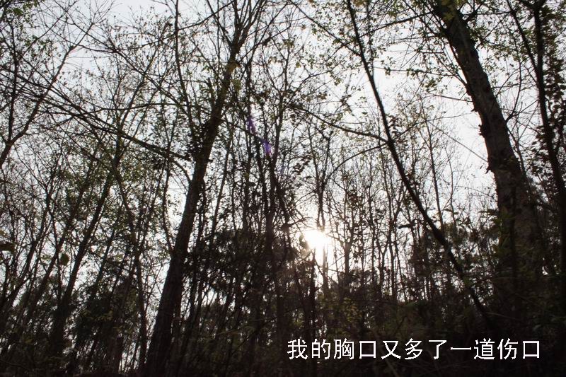 ҵʹ֪06.jpg