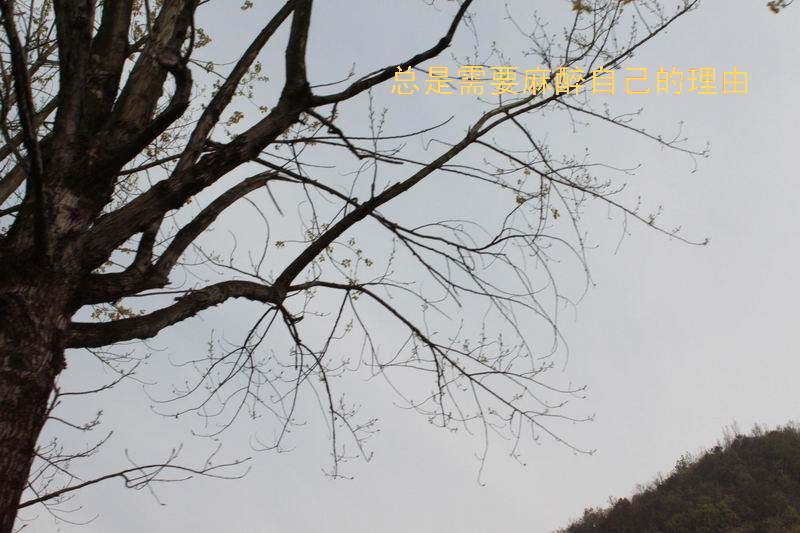 ҵʹ֪08.jpg
