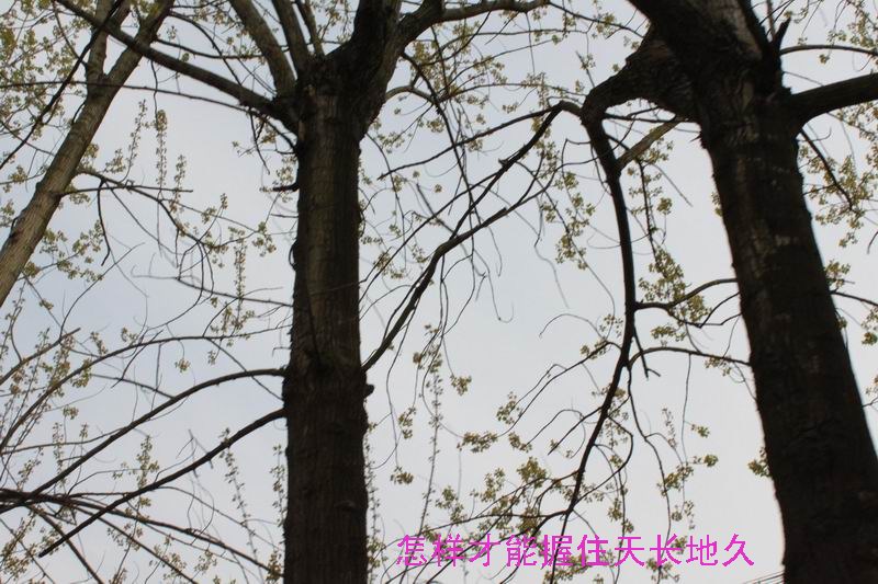 ҵʹ֪09.jpg