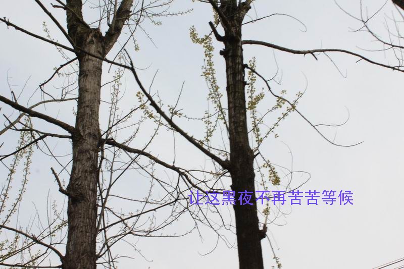 ҵʹ֪10.jpg