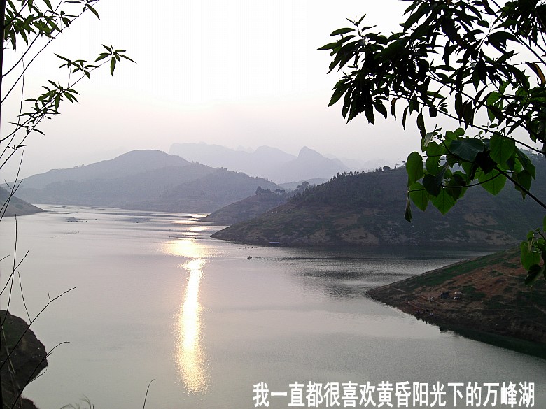 CIMG5171_conew1.jpg