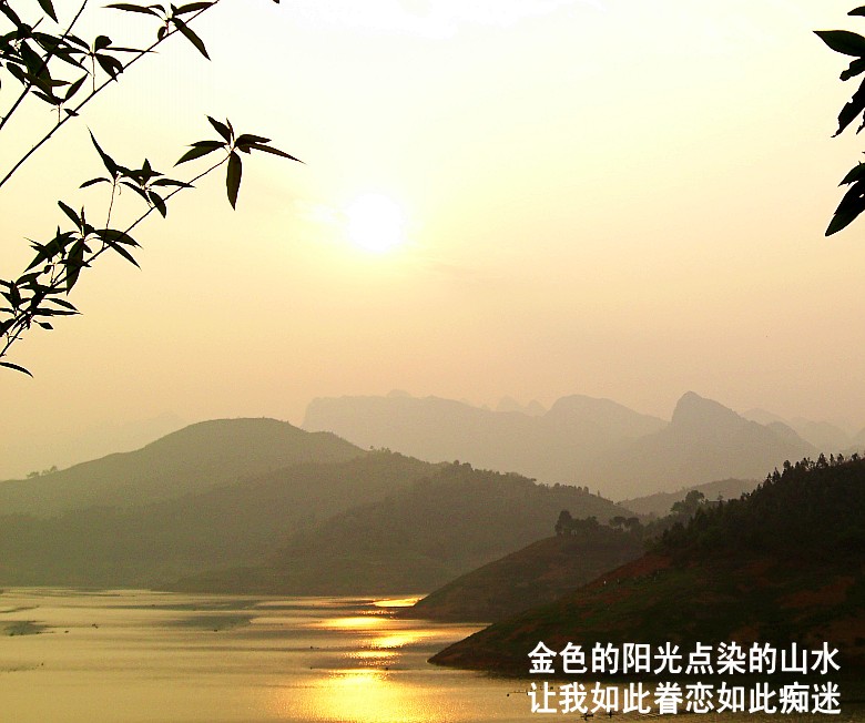 CIMG5172_conew1.jpg