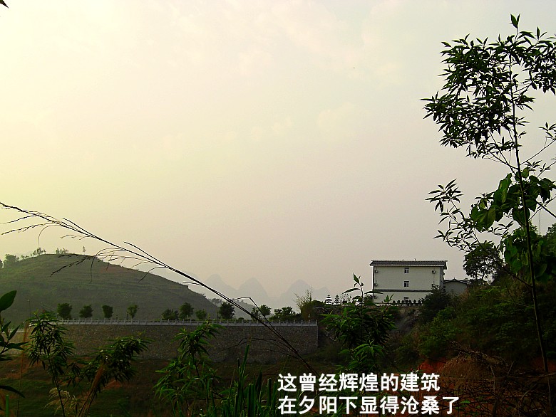 CIMG5175_conew1.jpg