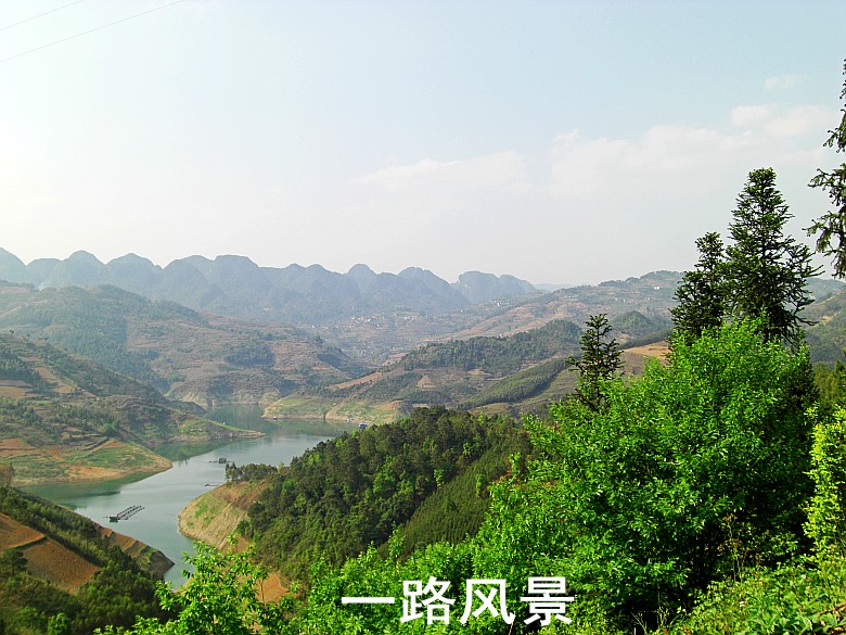 CIMG5292_conew1.jpg
