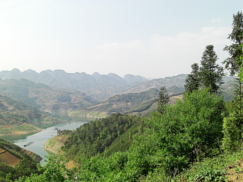 CIMG5293_conew1.jpg