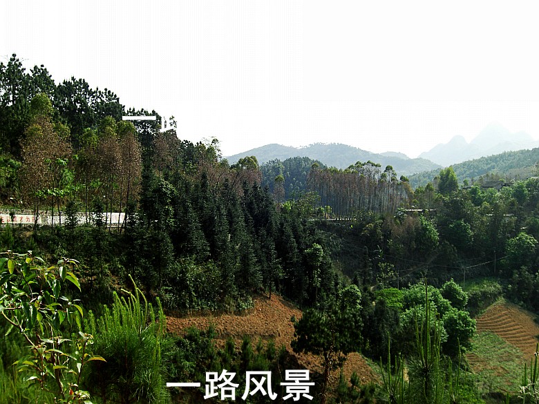 CIMG5294_conew1.jpg