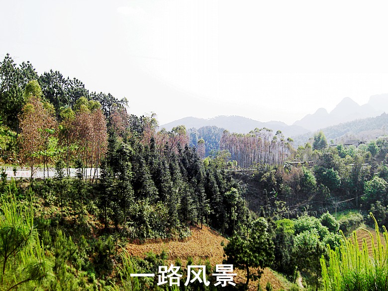CIMG5296_conew1.jpg