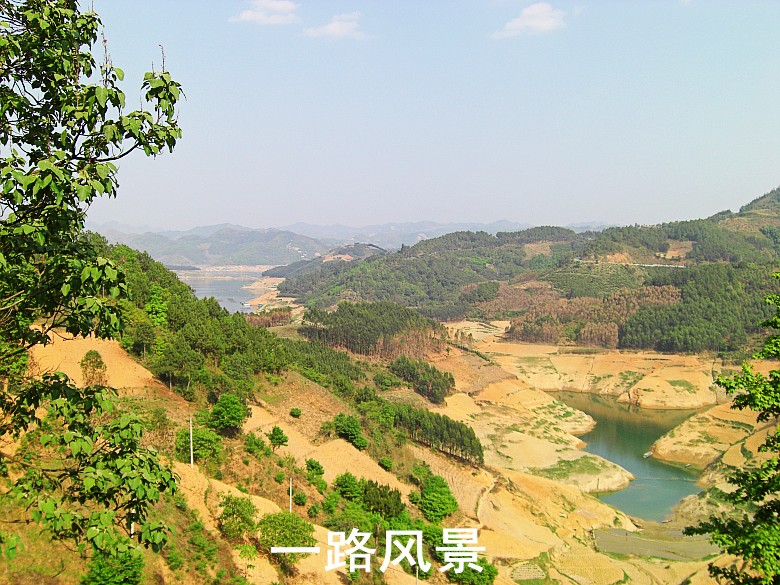 CIMG5297_conew1.jpg