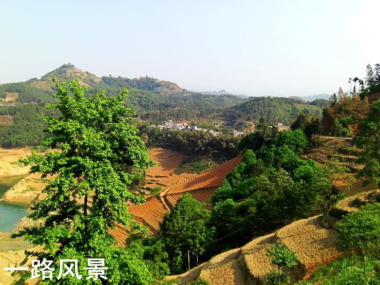 CIMG5299_conew1.jpg