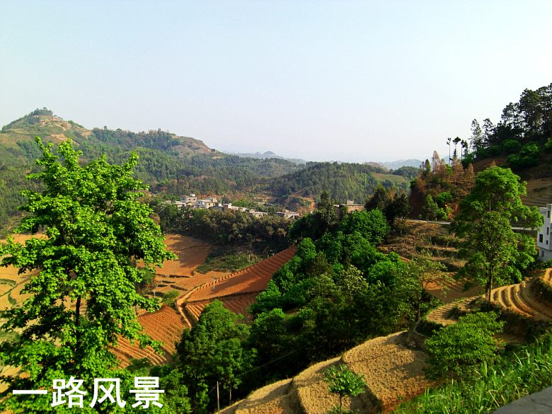 CIMG5301_conew1.jpg