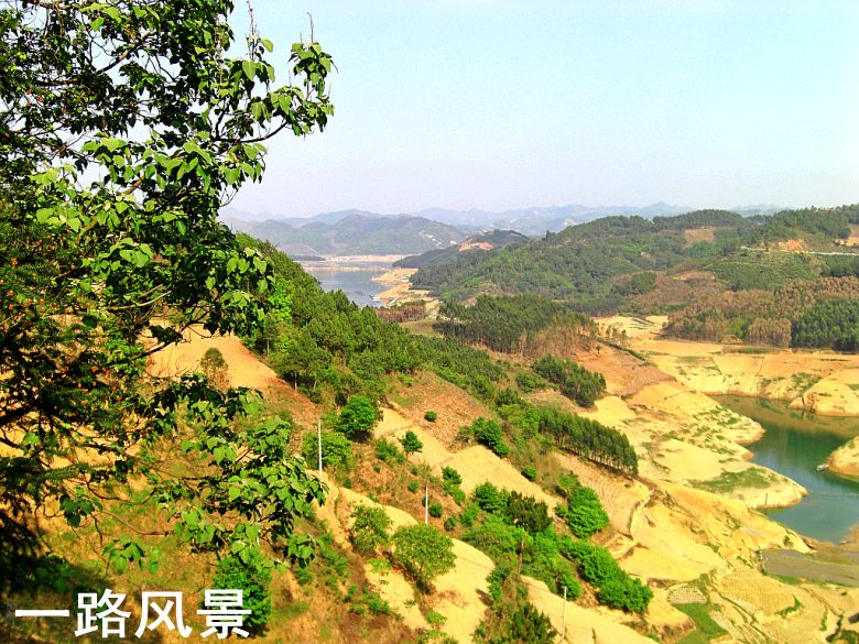 CIMG5302_conew1.jpg